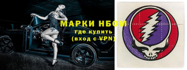 прущие грибы Мегион