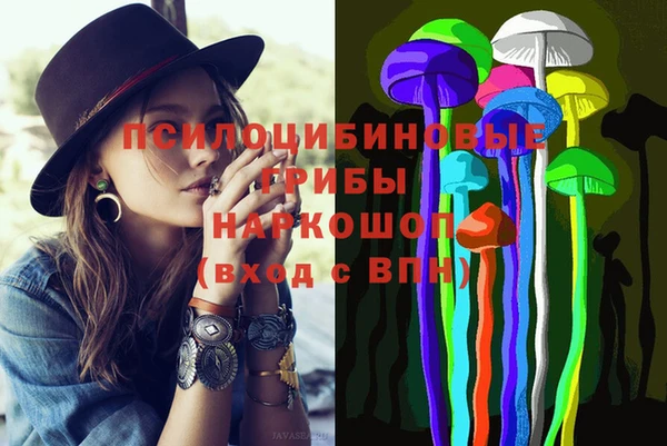 прущие грибы Мегион