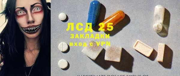 прущие грибы Мегион