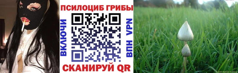 Галлюциногенные грибы GOLDEN TEACHER  купить наркоту  Белгород 