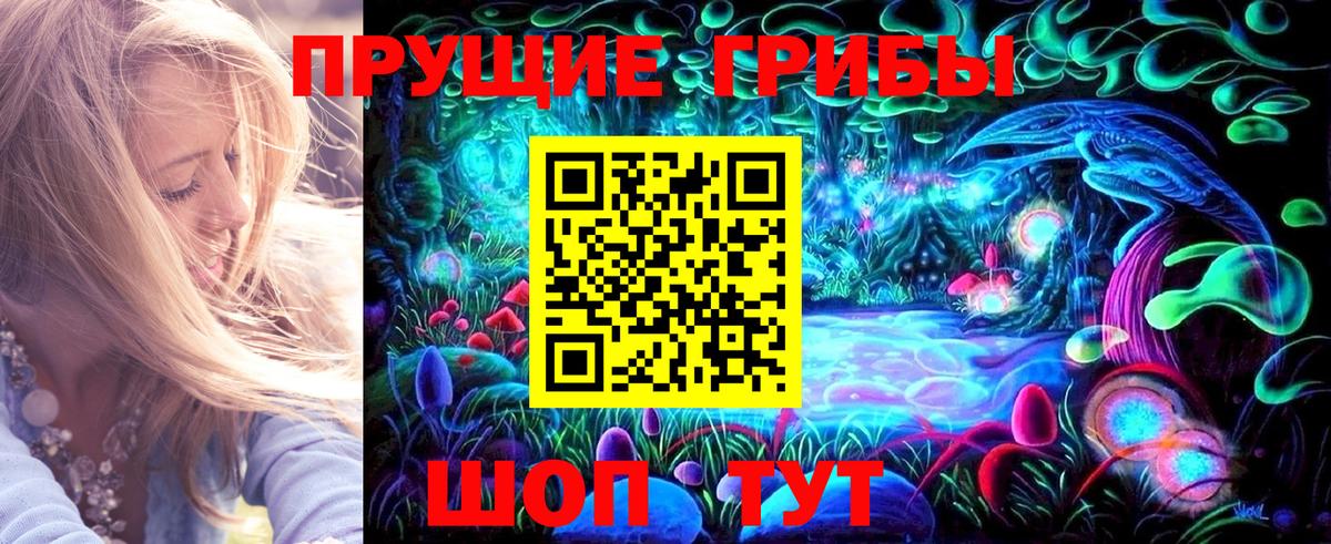 Галлюциногенные грибы Psilocybine cubensis  сколько стоит  Белгород 