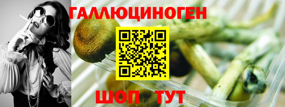 Псилоцибиновые грибы мицелий  Вход с VPN  Белгород  Галлюциногенные грибы мицелий 